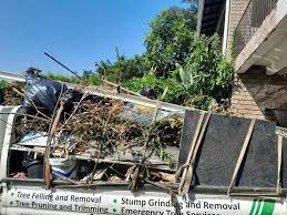 Shed Removal in Muskegon, MI